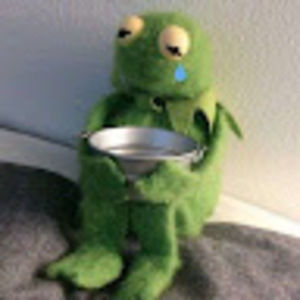 Meet your Posher, Jazzy